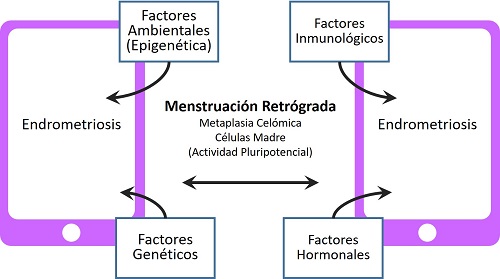 Grafico Monona