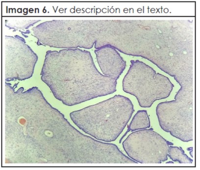 revista 3 2016 Nota3 07