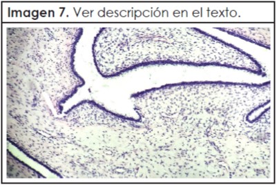 revista 3 2016 Nota3 08