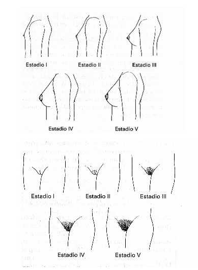 sagij
